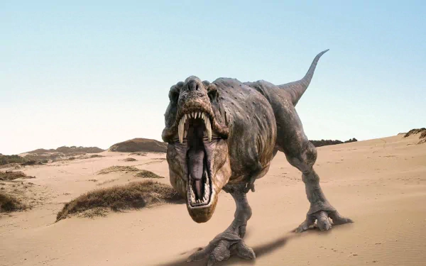 HD wallpaper of a roaring Tyrannosaurus Rex in a desert landscape, with a clear blue sky in the background.