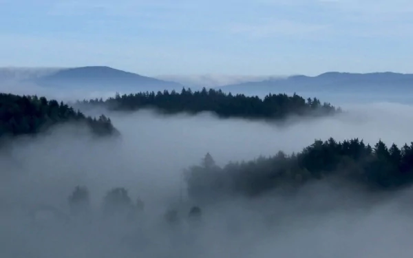 HD desktop wallpaper showing a serene nature scene with dense fog enveloping forested hills under a calm blue sky.