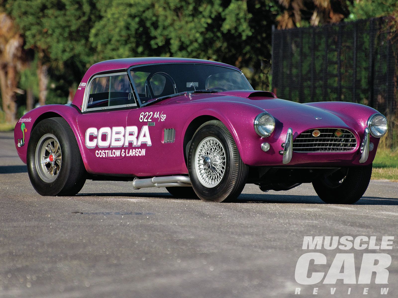 Vehicles Cobra HD Wallpaper | Background Image