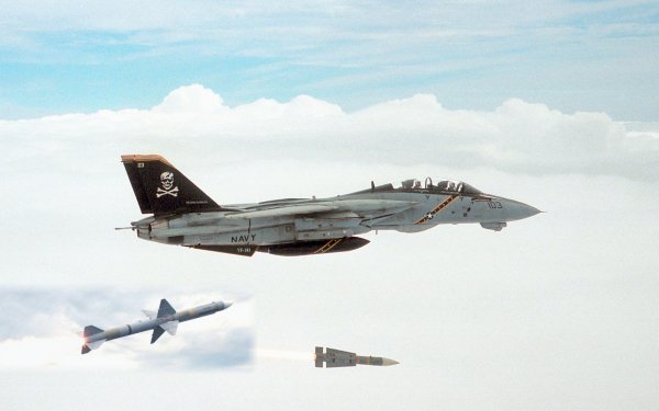 Military Grumman F-14 Tomcat Jet Fighters HD Wallpaper | Background Image
