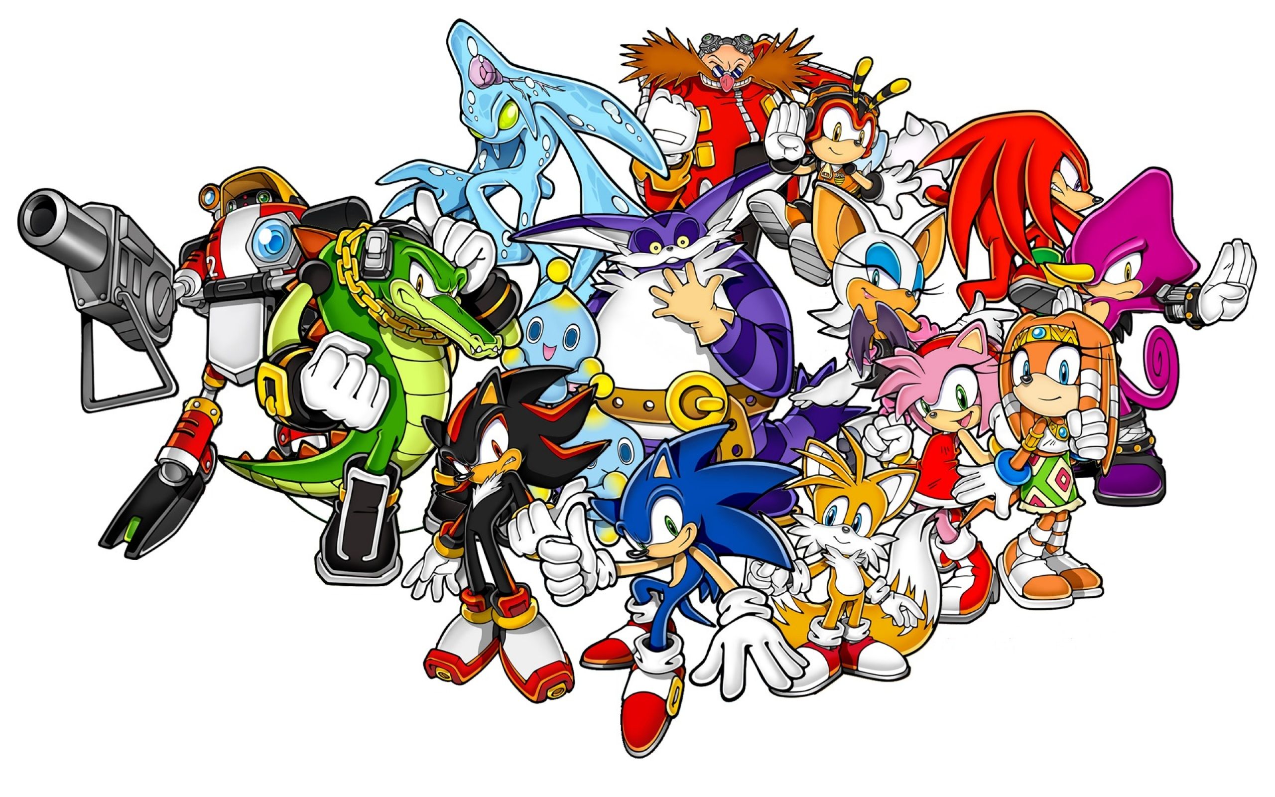 Sonic the Hedgehog Character Cast Sonic (SONIC SONIC) SONIC THE HEDGEHOG  SONIC THE HEDGEHOG Sonic Tails Knuckles Shadow Silver Rouge Espio Charmy  Vector Classic Sonic Blaze the Cat Big the Cat Metal