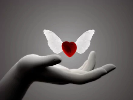 Artistic HD desktop wallpaper features a hand holding a winged heart, symbolizing love.