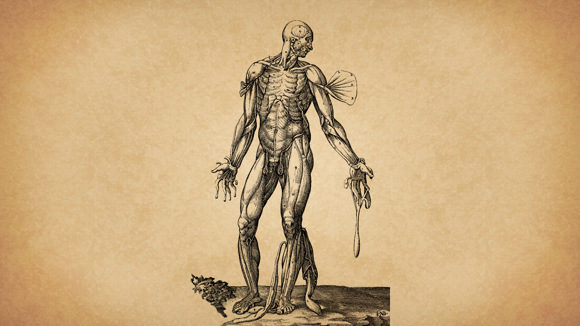 Phone wallpaper: Human, Break, Person, Nature, Shore, Bank, Miscellanea,  Miscellaneous, Waterfall, Precipice 51051, image size:1920x1080