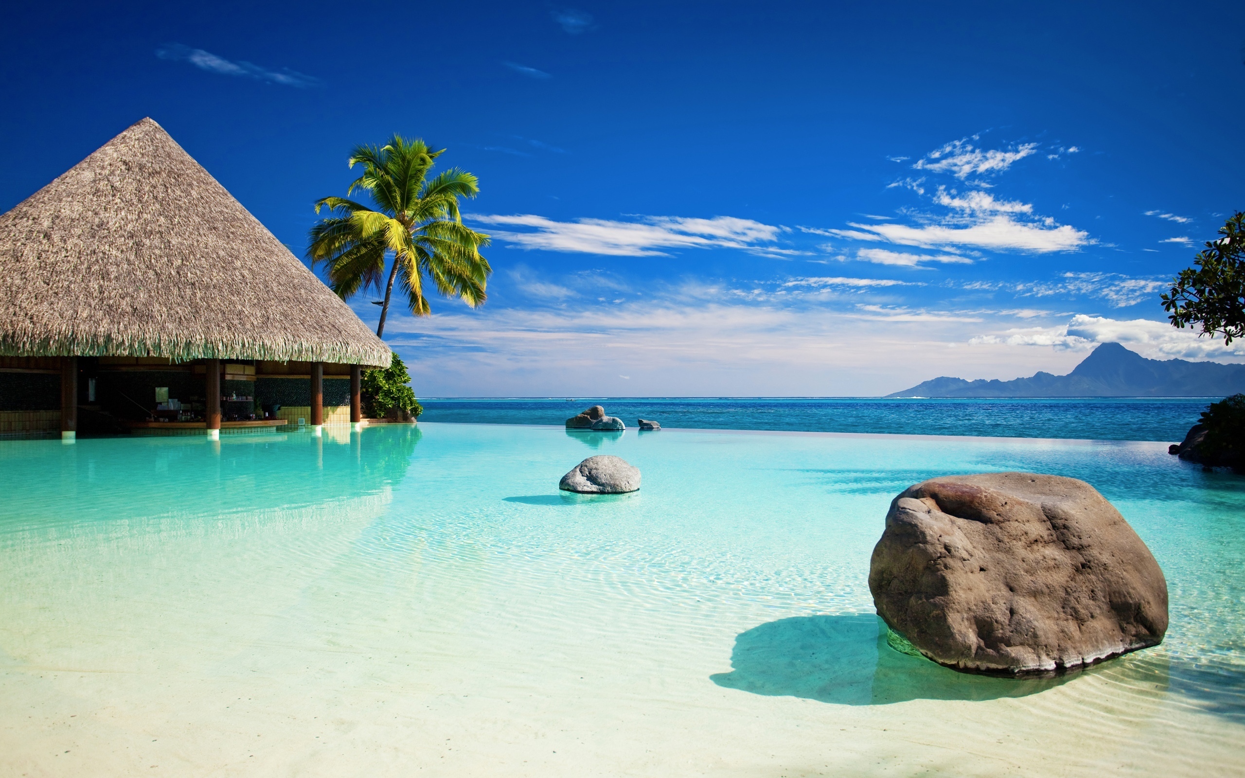 Aesthetic beach, beach, palms, tropical, HD phone wallpaper | Peakpx