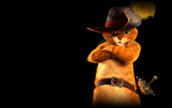 Movie Puss In Boots Shrek Cat Hat HD Wallpaper | Background Image