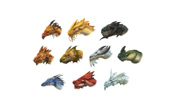 Detailed illustration of various fantasy dragon heads, showcasing a range of colors and designs. This artistic image serves as a vibrant HD wallpaper for desktop backgrounds.