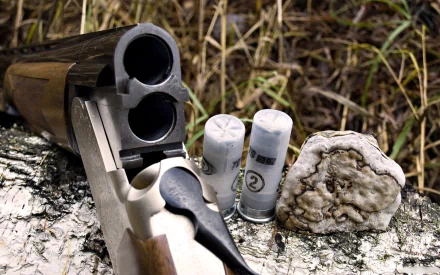 Close-up of a man-made shotgun with two shells resting on a log in natural outdoor surroundings, captured in HD for a PC desktop wallpaper background.