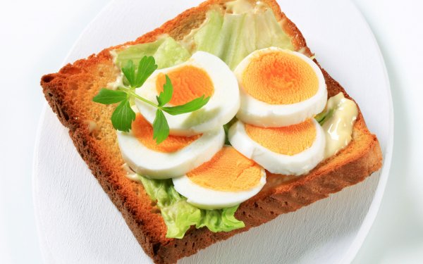 Food Bread Egg HD Wallpaper | Background Image