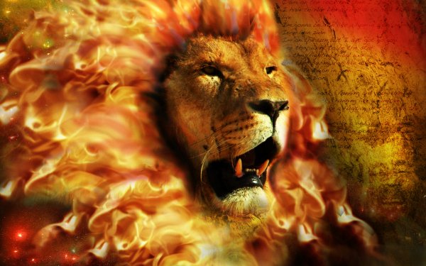 Animal Artistic Lion Fire Flame CGI Manipulation HD Wallpaper | Background Image