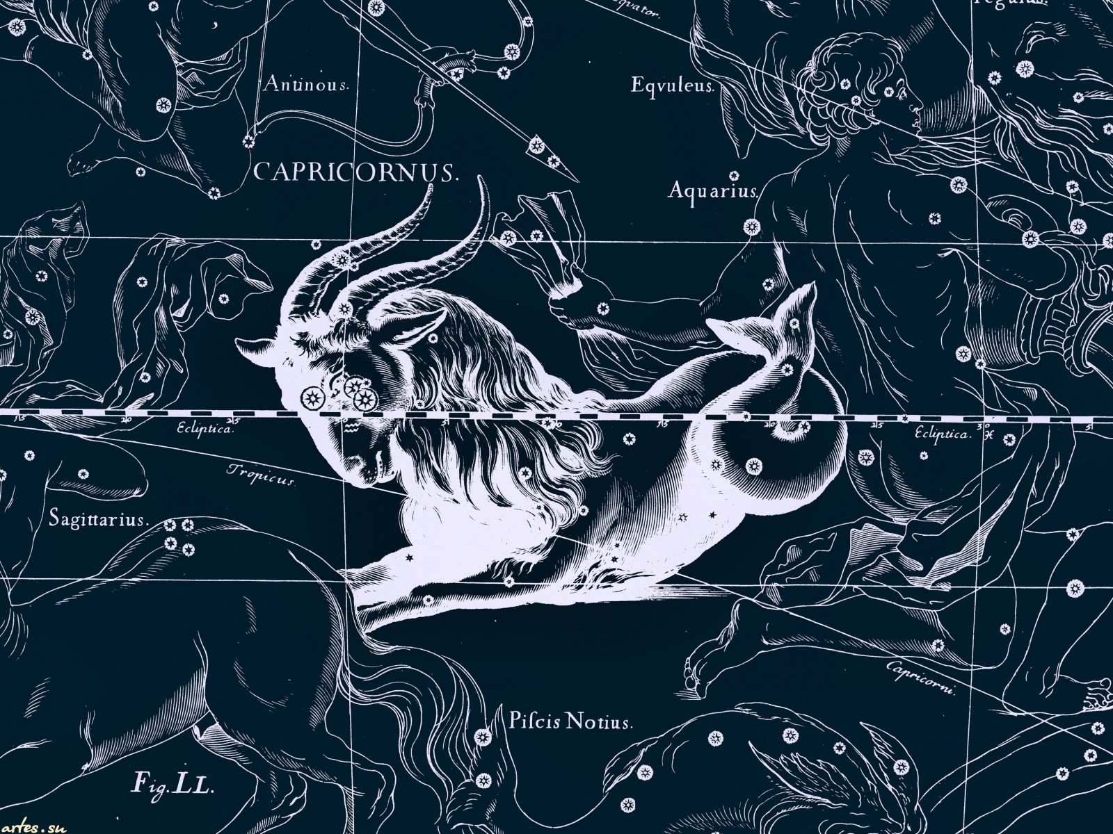 Fantasy Zodiac HD Wallpaper | Background Image
