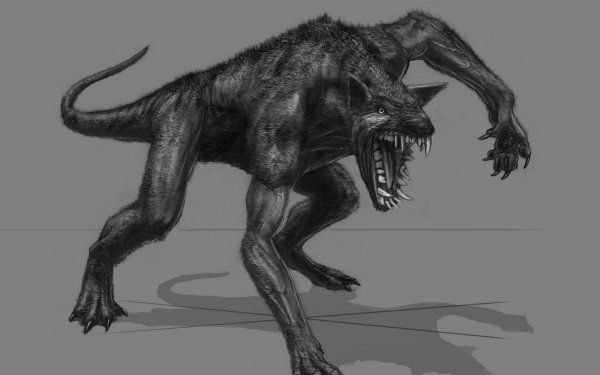 Dark Werewolf Halloween Horror Therianthrope HD Wallpaper | Background Image