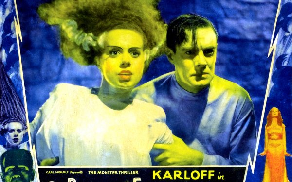 Movie The Bride of Frankenstein Horror Creepy Spooky Scary Halloween Frankenstien HD Wallpaper | Background Image