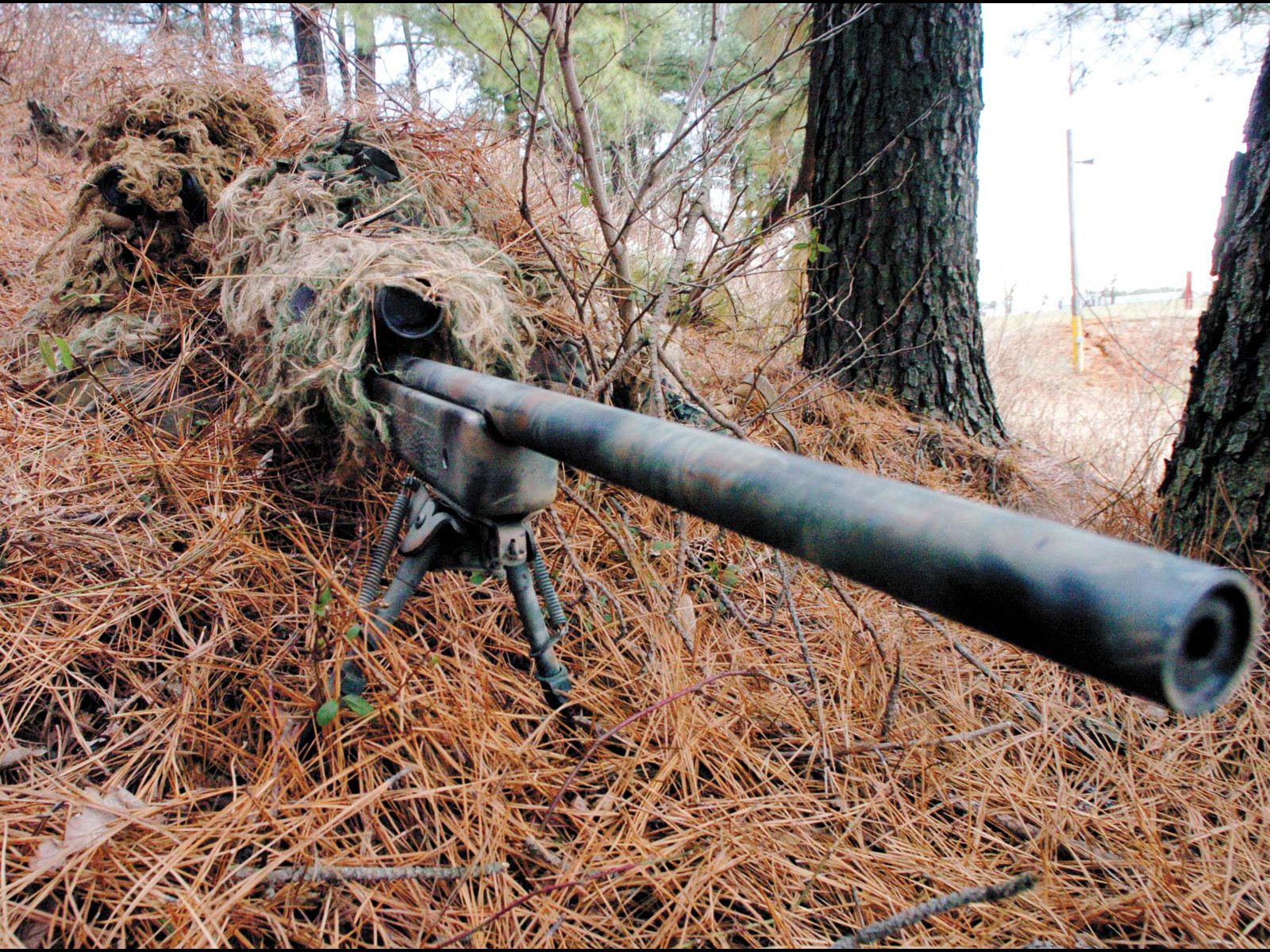 fondo de pantalla de rifle de francotirador marino