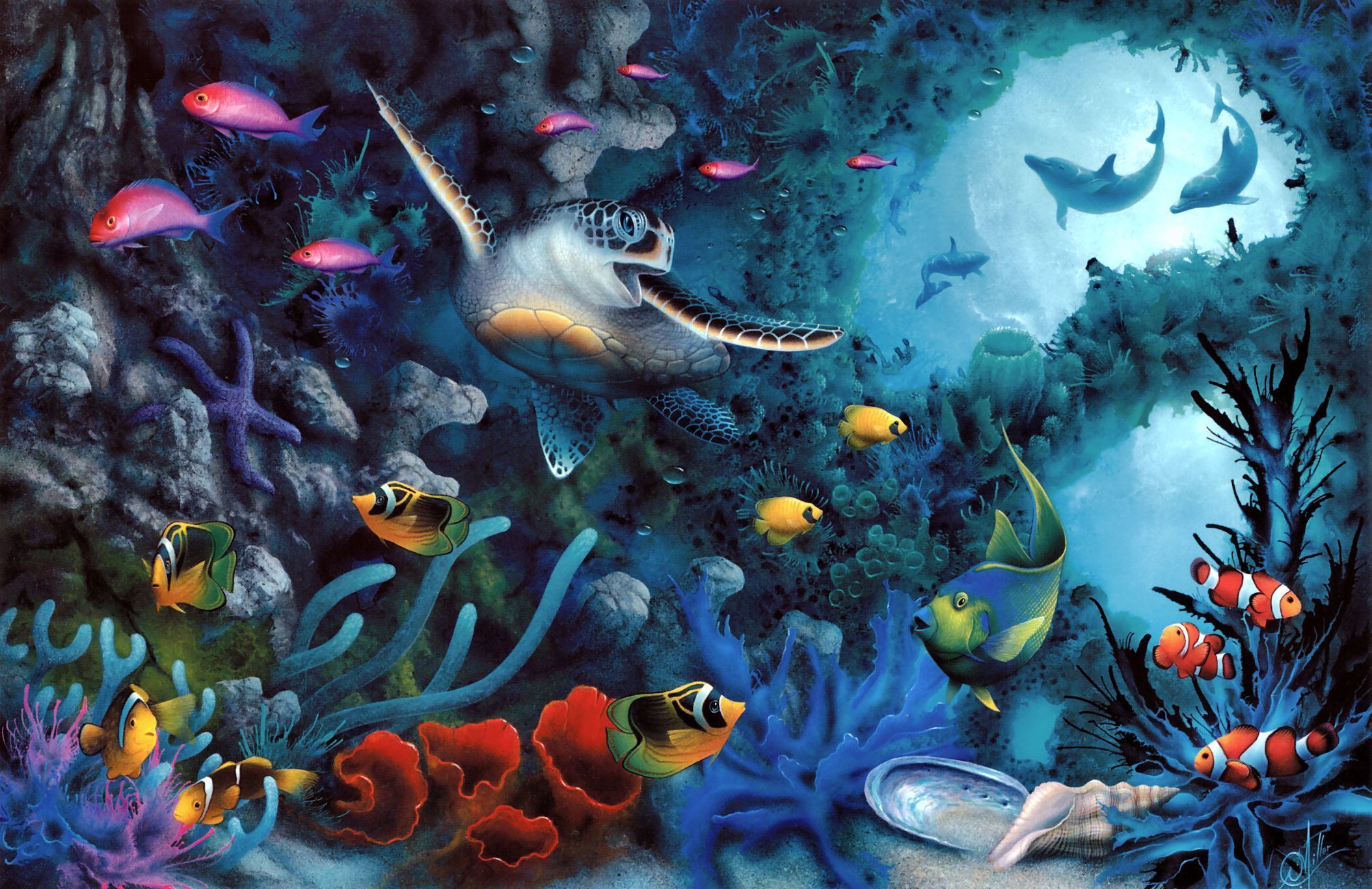 Animal Sea Life HD Wallpaper | Background Image
