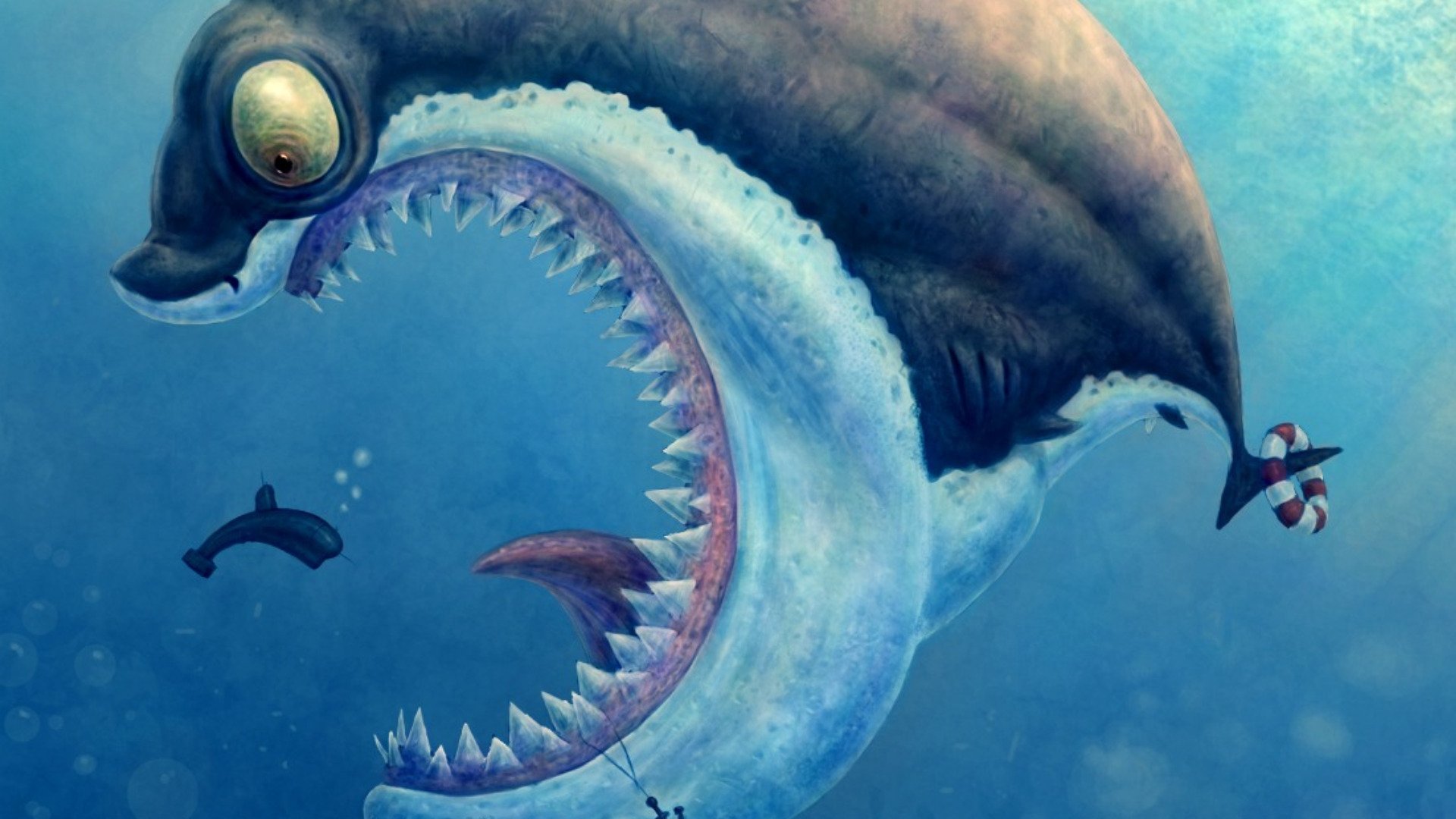 Download Animal Shark HD Wallpaper