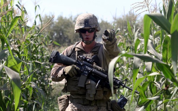 Military Soldier Weapon Gun Machine Gun HD Wallpaper | Background Image