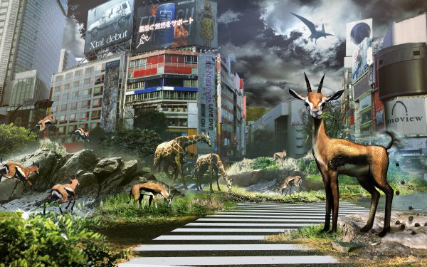 Video Game Tokyo Jungle HD Wallpaper | Background Image