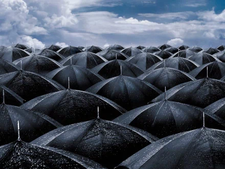 A stunning HD wallpaper featuring a sea of black umbrellas against a dramatic cloudy sky, capturing the essence of a rainy day.