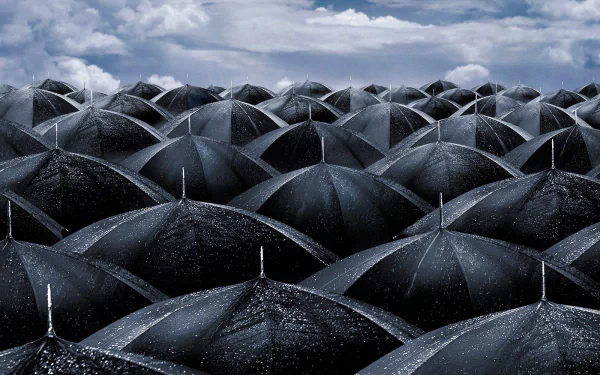 A stunning HD wallpaper featuring a sea of black umbrellas against a dramatic cloudy sky, capturing the essence of a rainy day.