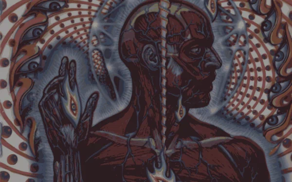 music Tool HD Desktop Wallpaper | Background Image