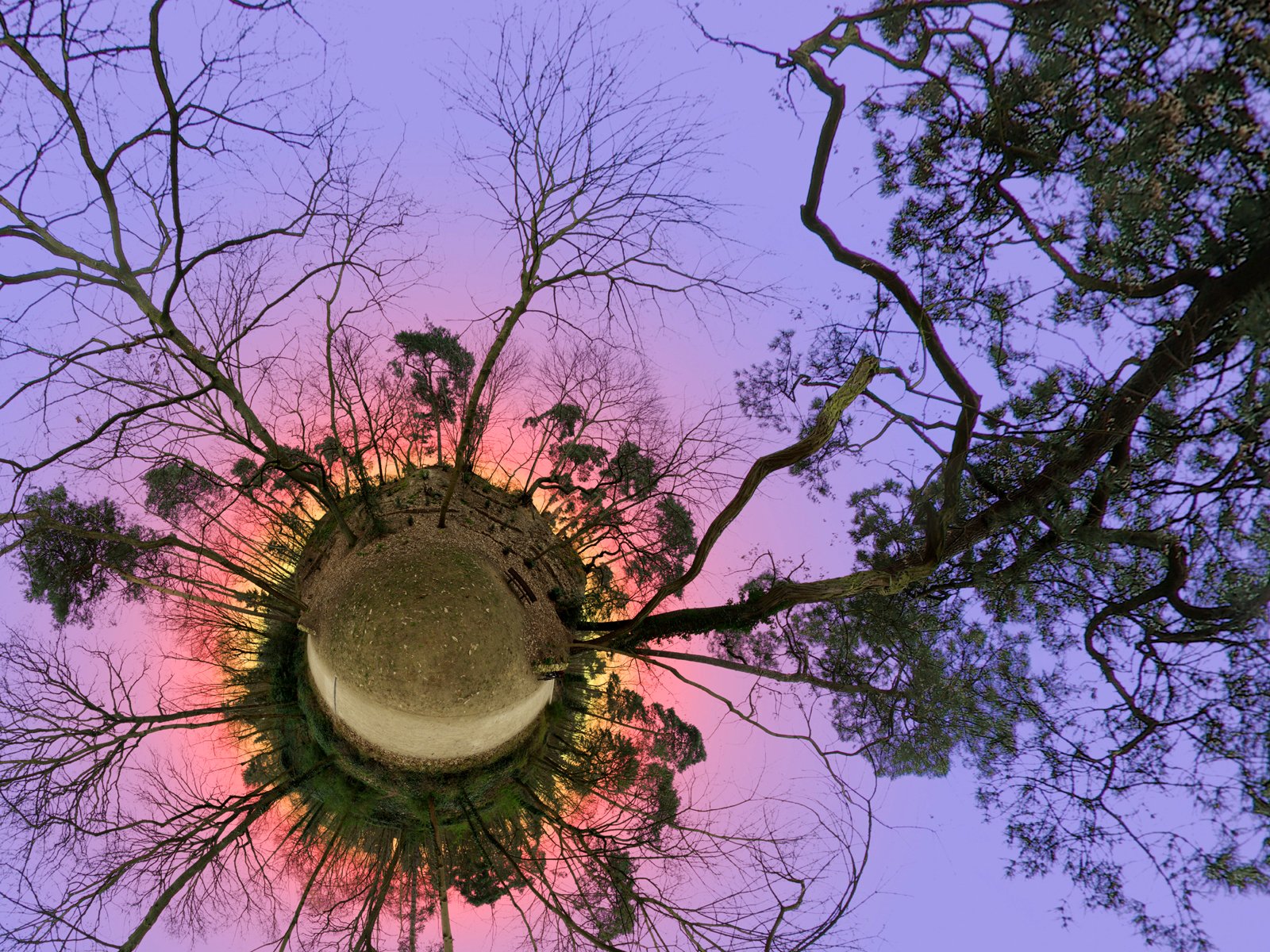 Artistic HD PC desktop wallpaper showcasing a tiny planet view of trees silhouetted against a vibrant purple and pink sunset sky in nature.