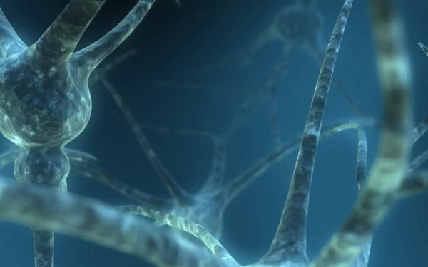 CGI 3D artistic Neuron HD Desktop Wallpaper | Background Image