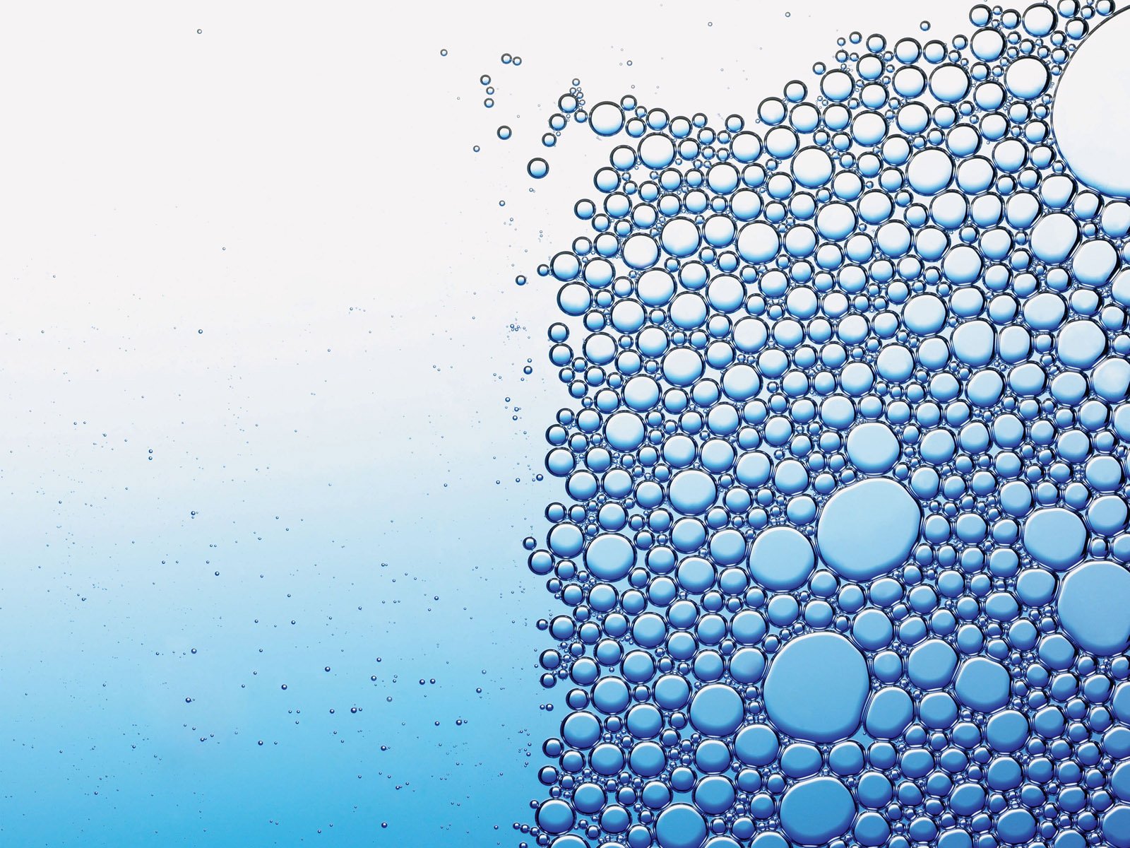 Close-up of vibrant water droplets on a smooth surface, showcasing a blend of blue hues, creating a stunning nature-inspired HD desktop wallpaper or background.