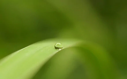 A high-definition desktop wallpaper showing a single water drop delicately perched on a green leaf, set against a blurred natural background.
