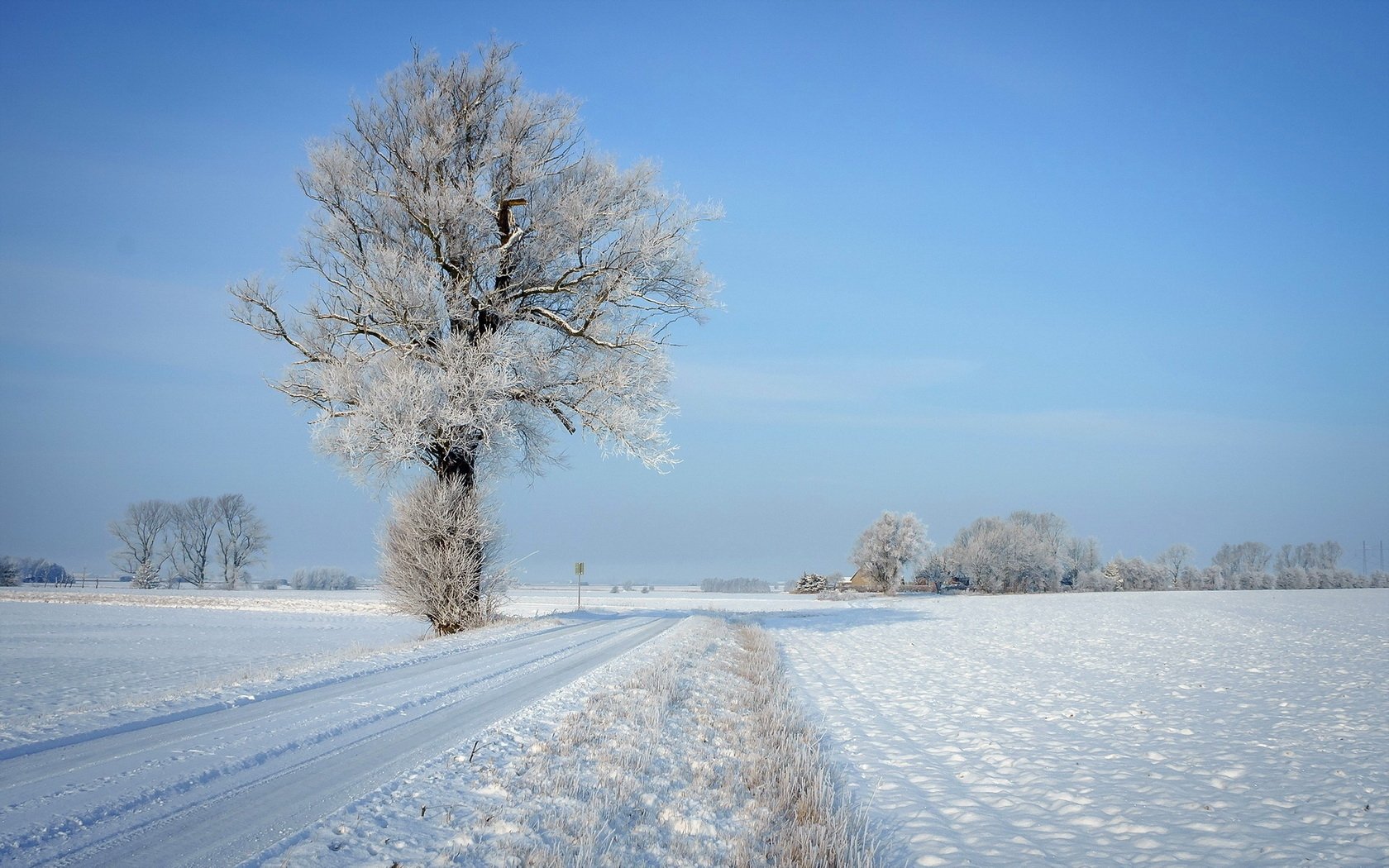 HD desktop wallpaper showing a winter landscape with snow-covered fields and a frosted tree under a clear blue sky.