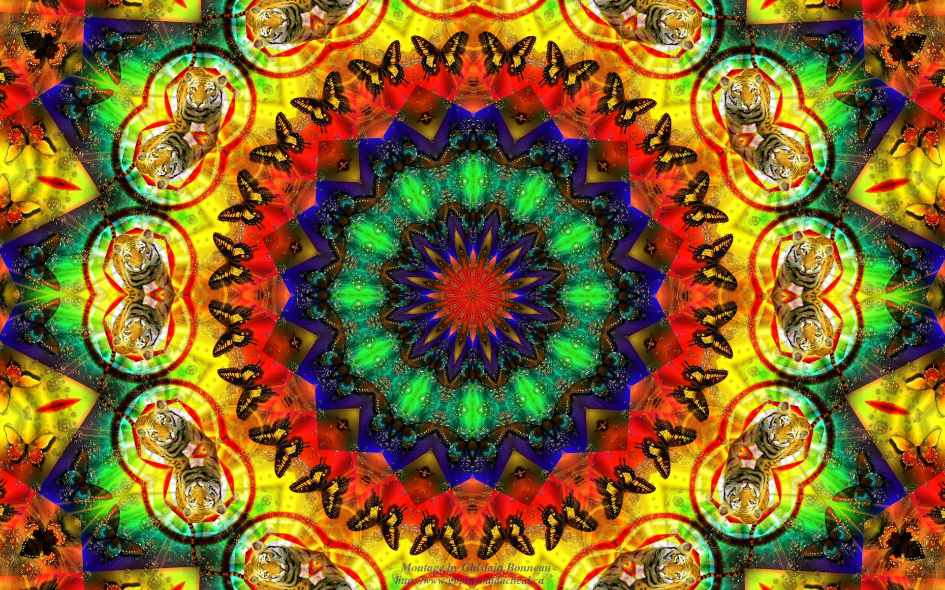 Download Kaleidoscope wallpapers for mobile phone free Kaleidoscope HD  pictures