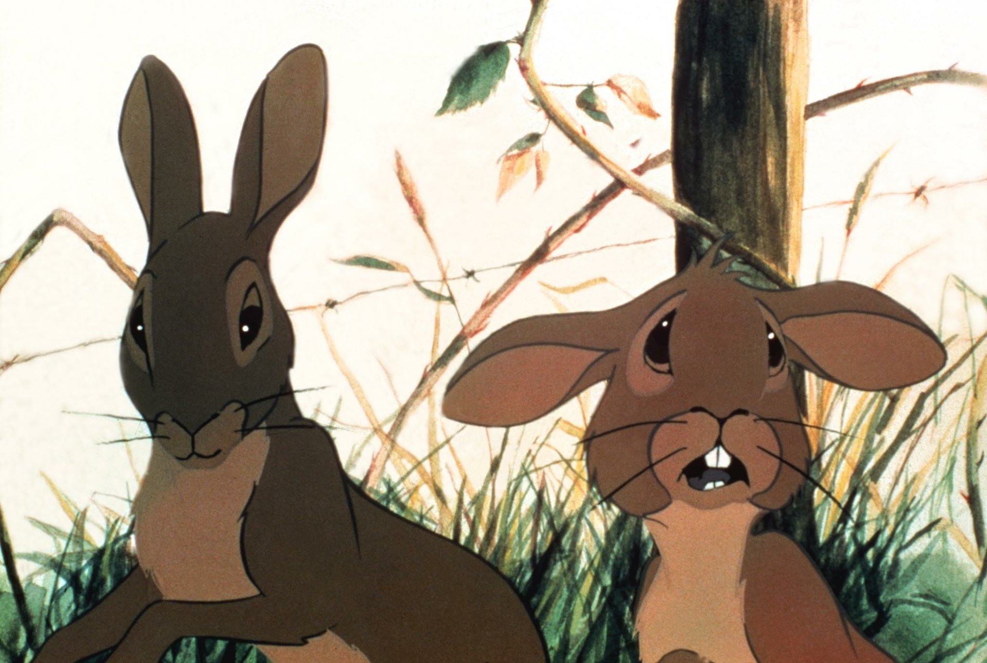 Movie Watership Down HD Wallpaper