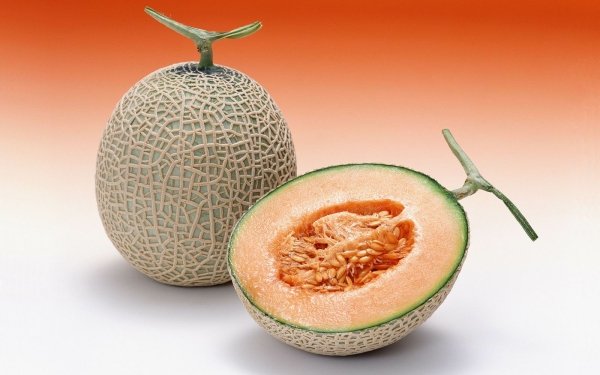 Food Melon Fruits Cantaloupe HD Wallpaper | Background Image