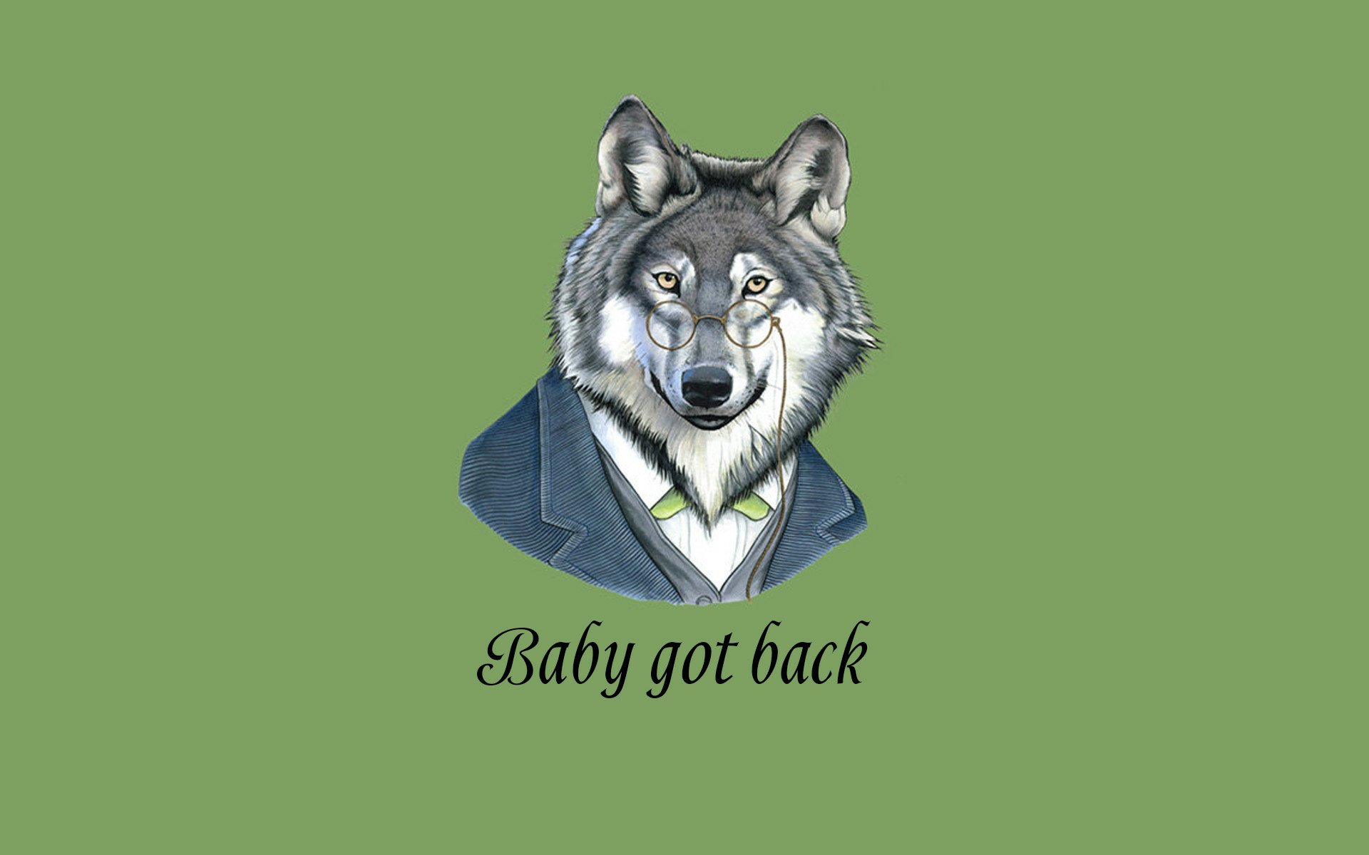 Download Funny Animal HD Wallpaper by Carina-chan