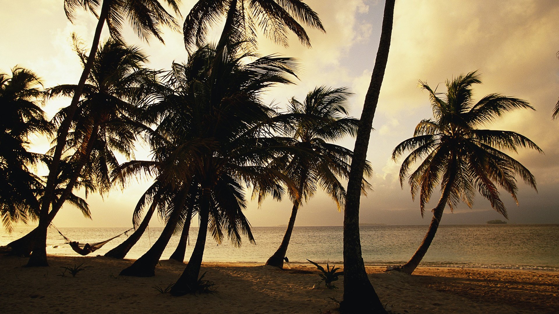 HD PC desktop wallpaper and background of nature with silhouetted palm trees and a hammock on a tranquil sunset beach.