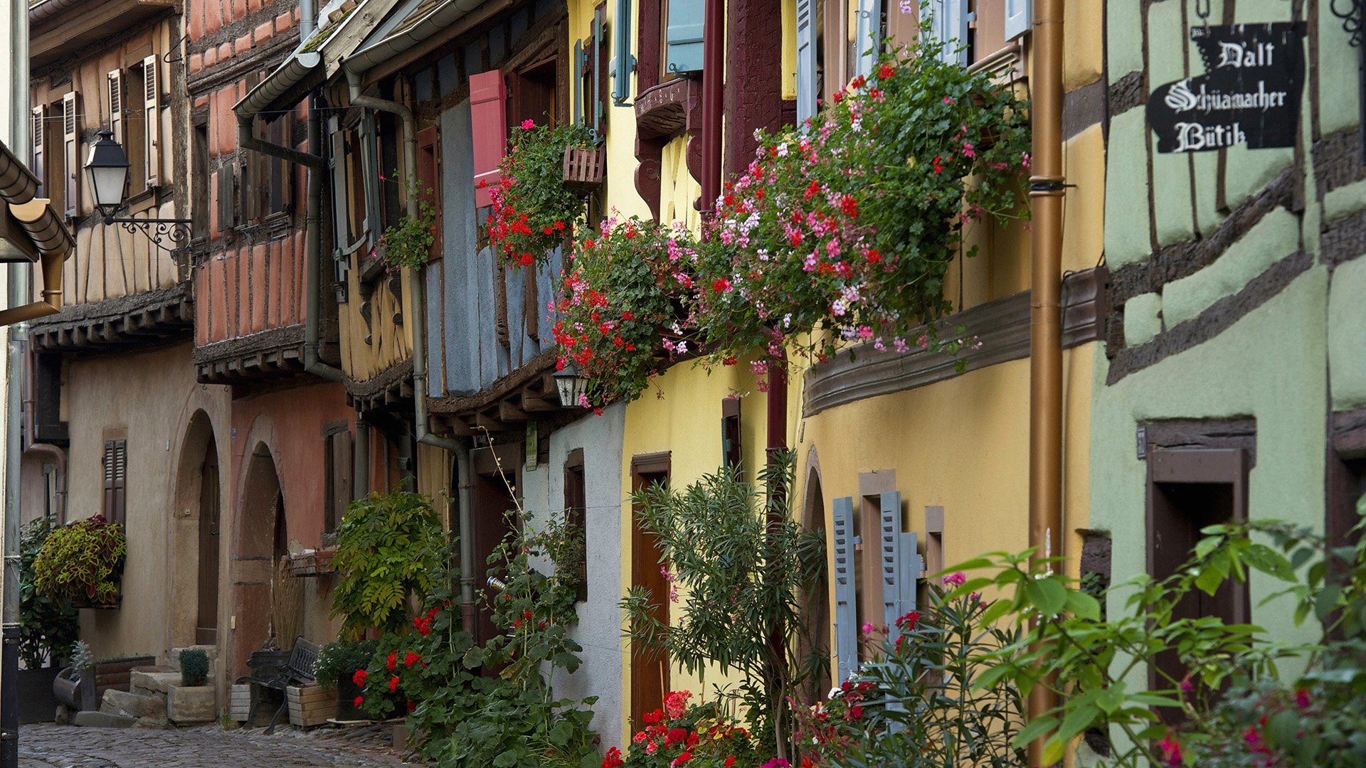 Charming village street in Eguisheim, France, featuring colorful houses adorned with vibrant flowers, capturing the essence of man-made beauty in a picturesque setting.