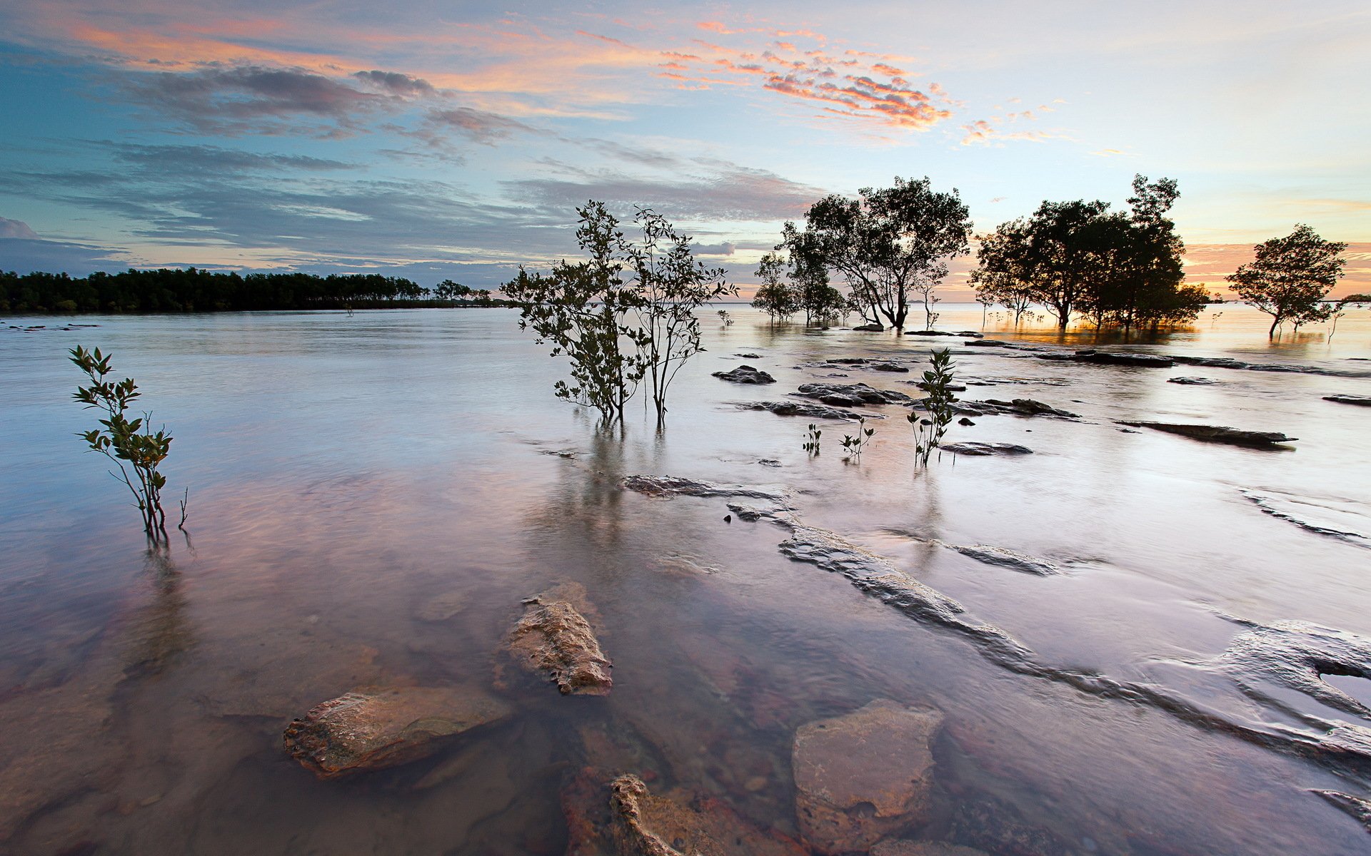 HD desktop wallpaper showing a serene lake at sunset with partially submerged trees and a colorful sky reflecting on the calm water.