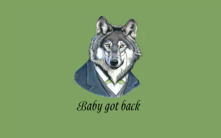 funny Animal HD Desktop Wallpaper | Background Image