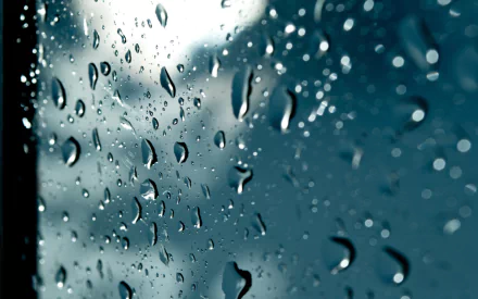photography raindrops HD Desktop Wallpaper | Background Image