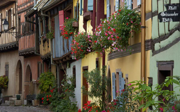 Charming village street in Eguisheim, France, featuring colorful houses adorned with vibrant flowers, capturing the essence of man-made beauty in a picturesque setting.
