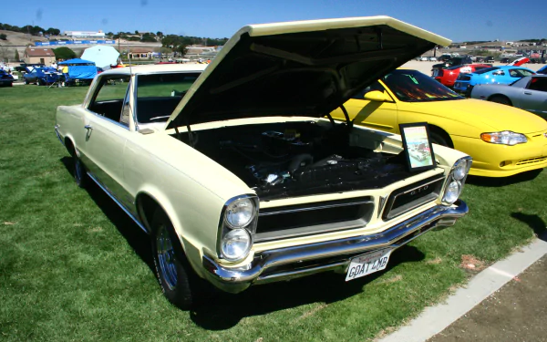 vehicle Pontiac GTO HD Desktop Wallpaper | Background Image