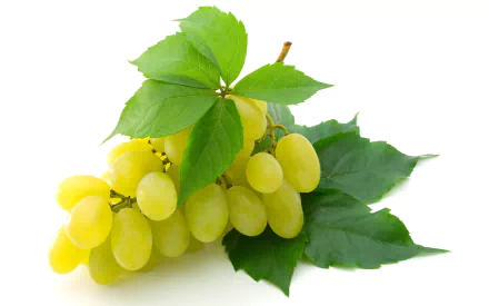 Close-up of a cluster of green grapes with leaves, set against a white background. This vibrant image is an HD PC desktop wallpaper and background featuring fresh food.