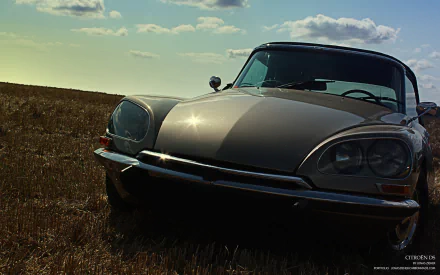 Front three-quarter view of a Citroën DS vehicle in a grassy field at dusk, HD PC desktop wallpaper and background highlighting the classic Citroën's sleek curves.