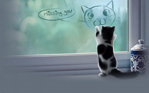 HD desktop wallpaper featuring a kitten standing by the window, looking at a drawn cat face on the glass with the words missing you.