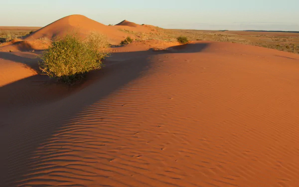 HD PC desktop wallpaper of the Simpson Desert nature scene: sunlit orange sand dunes with wind-rippled patterns and a lone shrub under a pale sky.