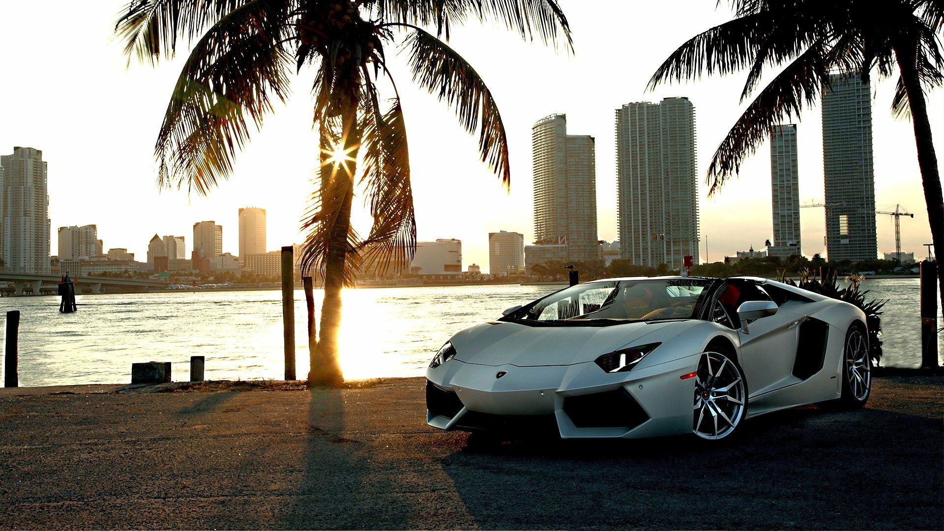 A striking Lamborghini Aventador parked by the waterfront, framed by palm trees and a vibrant city skyline during sunset, showcasing its sleek design in this HD desktop wallpaper.