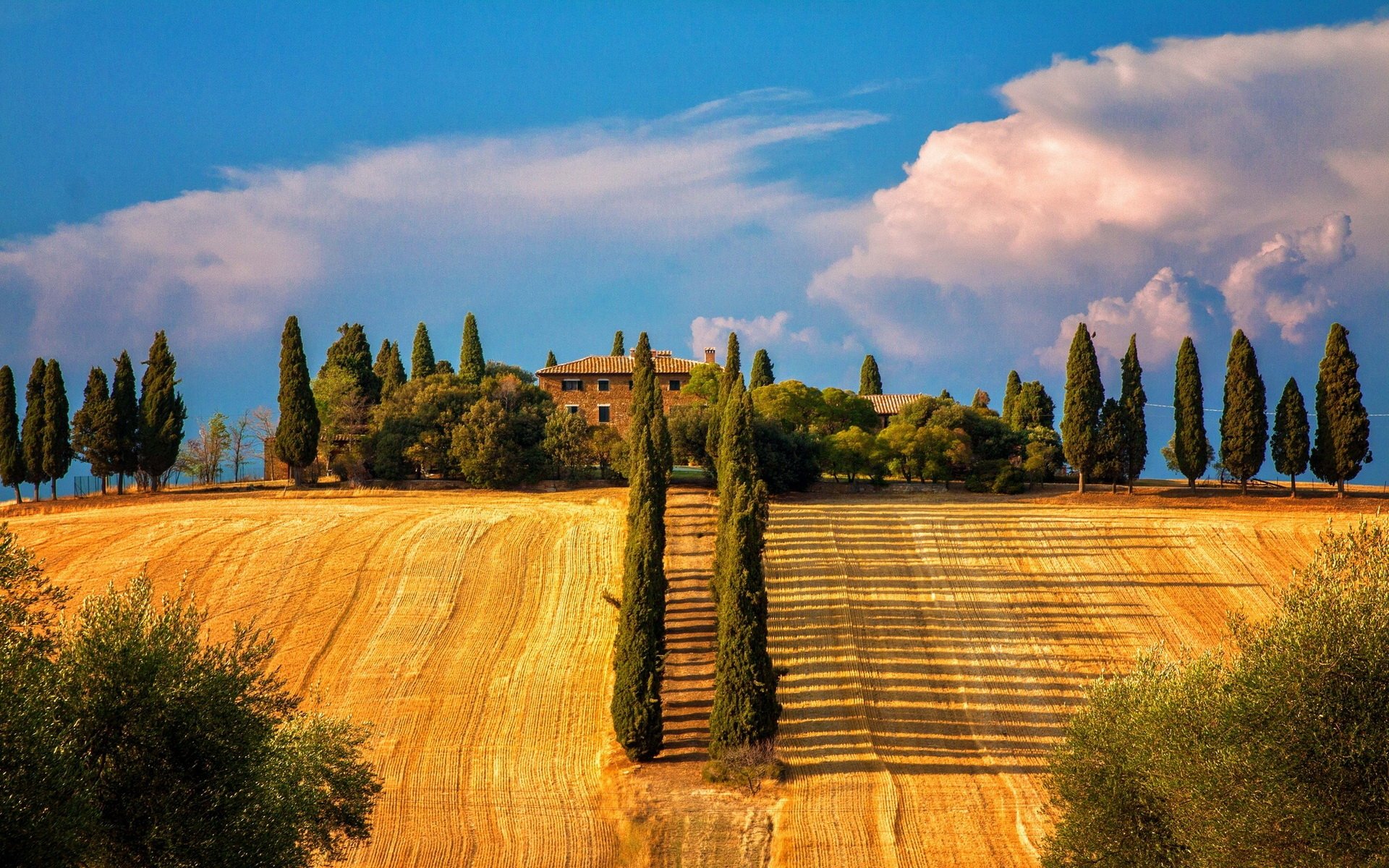 Sunlit Tuscan landscape in Siena, Italy, featuring a golden field, tall cypress trees, and a historic man-made mansion under a vibrant blue sky.