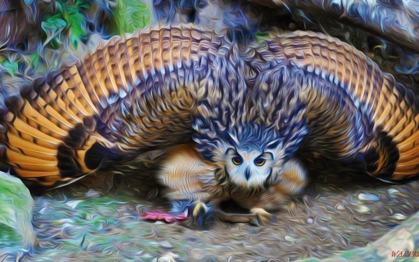 Animal Artistic Oil Painting Owl Bird HD Wallpaper | Background Image