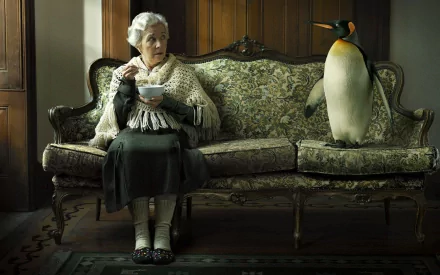 A humorous HD wallpaper features an elderly woman in a cozy shawl, surprised while sitting on a vintage couch, next to an unexpectedly calm penguin, adding a whimsical touch to any desktop.
