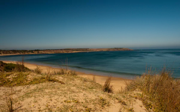 island nature phillipe island HD Desktop Wallpaper | Background Image