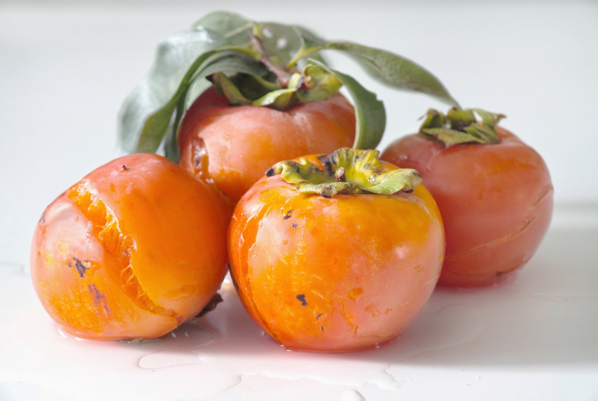 HD PC desktop wallpaper: close-up of ripe orange persimmons with green leaves on a white background, food photography.